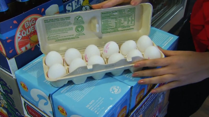 Eggs Recalled due to Contamination