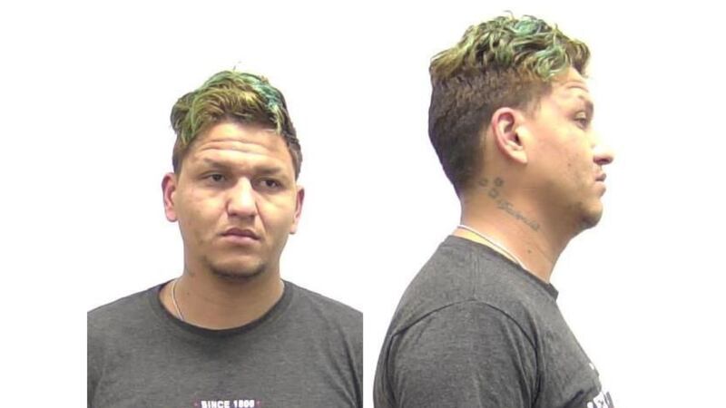 Diego Ibarra