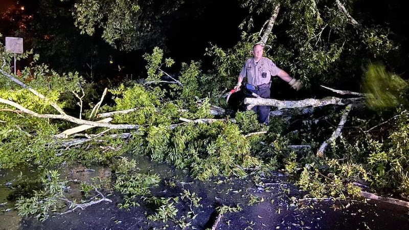 Un agente del Alguacil de Condado de Bibb retira partes de un árbol caído en Emery Highway