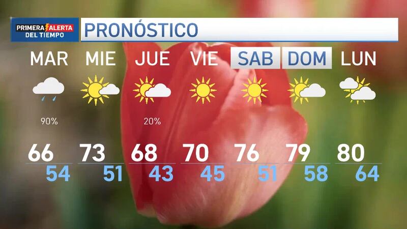 Los niveles de polen se mantienen altos